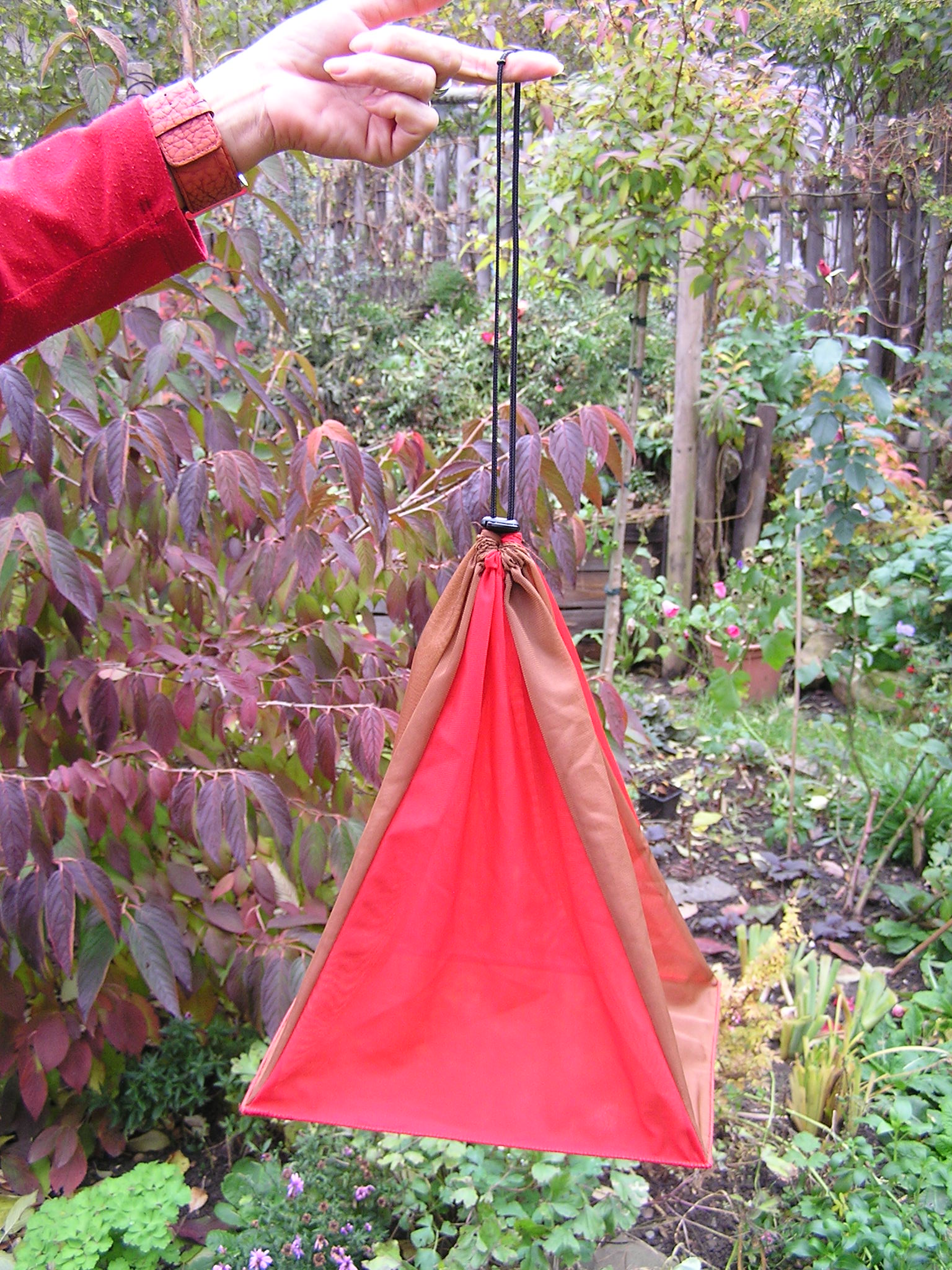 Pyramidal birds holding bag.