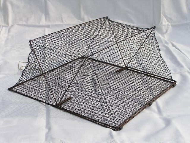 CST35-Cage spring trap for trapping rails and crakes. Base dimensions: 35x35 cm 