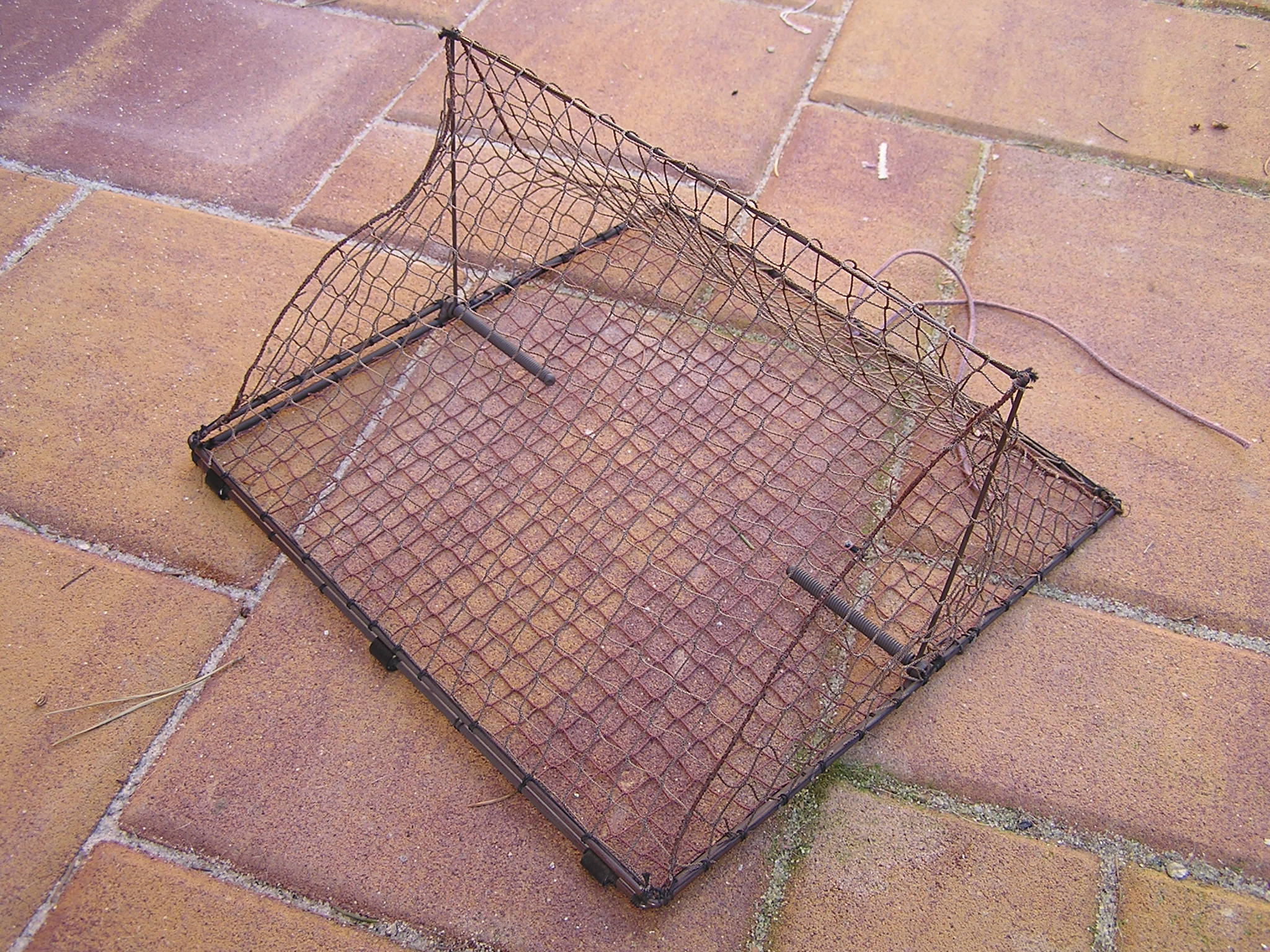 TSB25 - Tent spring trap for trapping small birds. Base dimensions: 25x25 cm